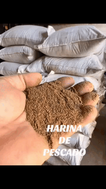 AQUA TITAN™ Harina de Pescado 65% Proteína Premium + ENVIO GRATIS